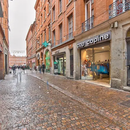 Lejlighed Charming T2 With Terrace - Quartier Capitole